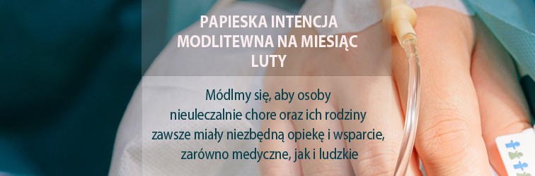 PIM luty_2024
